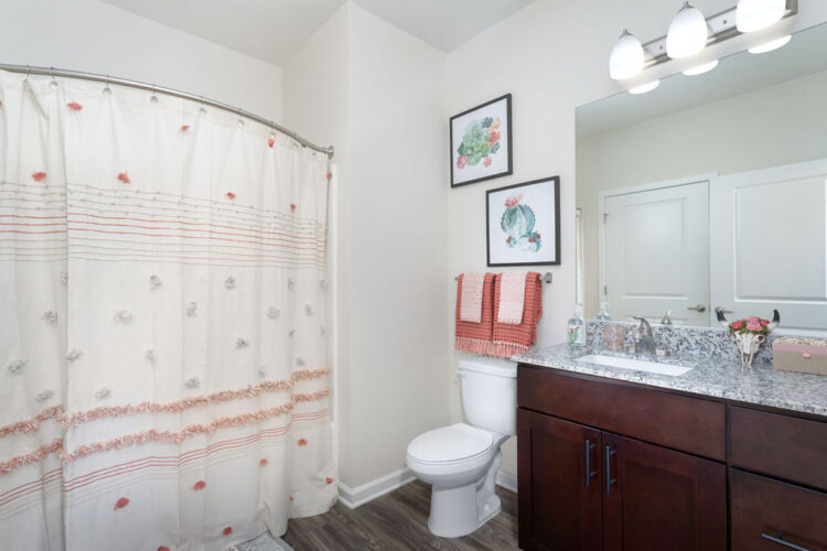 Apartment bathroom