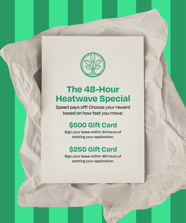 Pop-up-Special